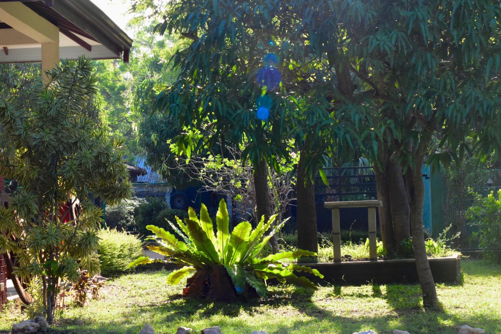 Green Hut Nature Resort Sigiriya Exterior foto